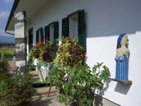 gw_sa (9)